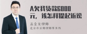 A欠我货款6000元，该怎样提起诉讼