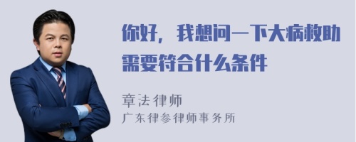 你好，我想问一下大病救助需要符合什么条件