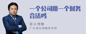 一个公司用一个财务合法吗