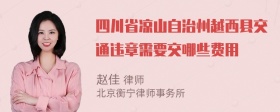 四川省凉山自治州越西县交通违章需要交哪些费用