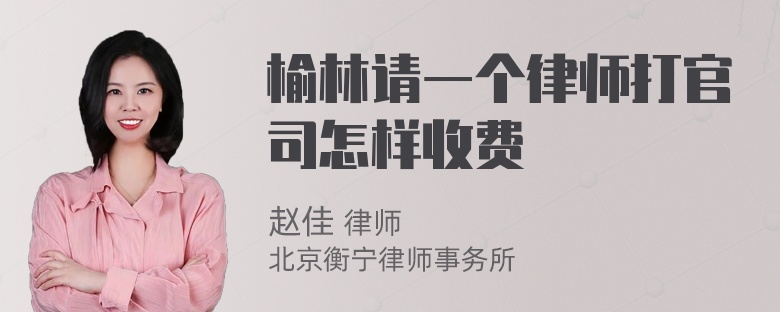 榆林请一个律师打官司怎样收费