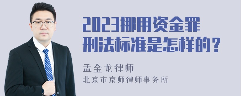 2023挪用资金罪刑法标准是怎样的？