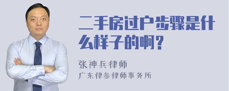 二手房过户步骤是什么样子的啊？