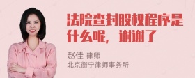 法院查封股权程序是什么呢，谢谢了