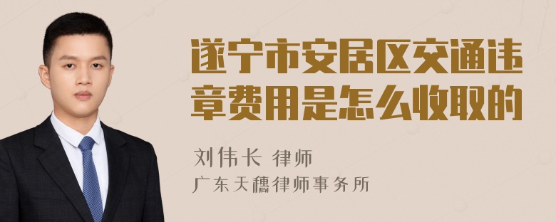 遂宁市安居区交通违章费用是怎么收取的