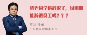 我老同学被辞退了，试用期能辞退员工吗？？？