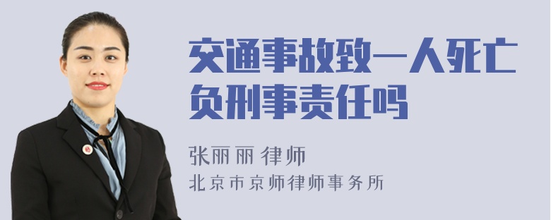 交通事故致一人死亡负刑事责任吗