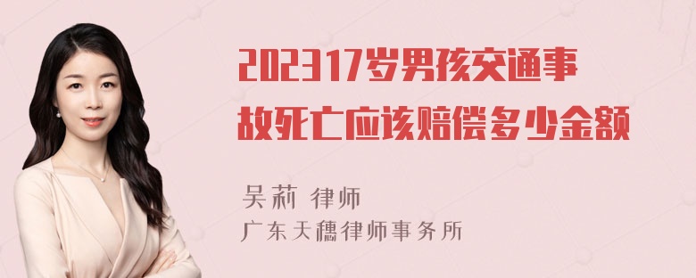 202317岁男孩交通事故死亡应该赔偿多少金额