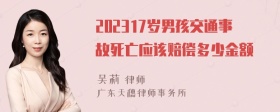 202317岁男孩交通事故死亡应该赔偿多少金额