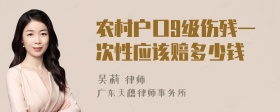 农村户口9级伤残一次性应该赔多少钱