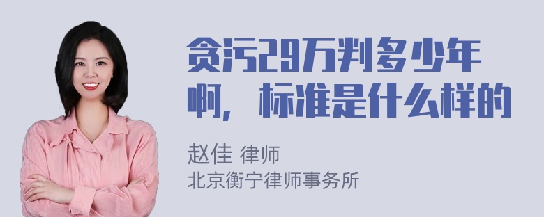 贪污29万判多少年啊，标准是什么样的