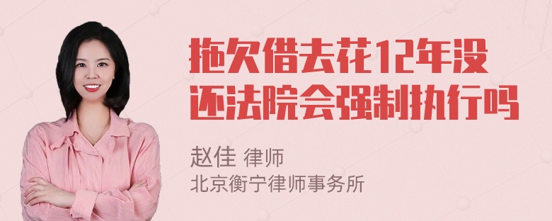 拖欠借去花12年没还法院会强制执行吗