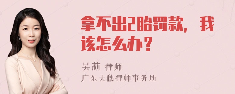 拿不出2胎罚款，我该怎么办？