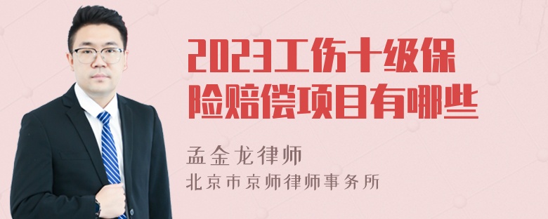 2023工伤十级保险赔偿项目有哪些