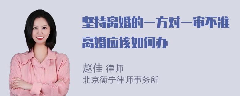 坚持离婚的一方对一审不准离婚应该如何办