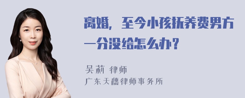 离婚，至今小孩抚养费男方一分没给怎么办？