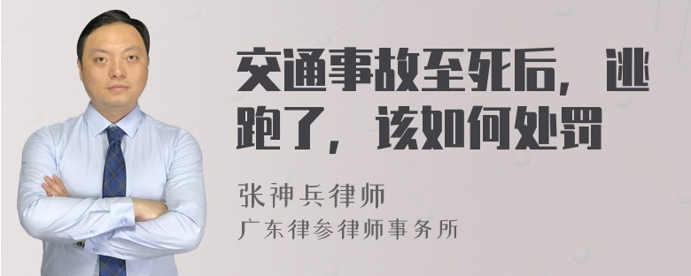 交通事故至死后，逃跑了，该如何处罚