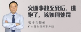 交通事故至死后，逃跑了，该如何处罚