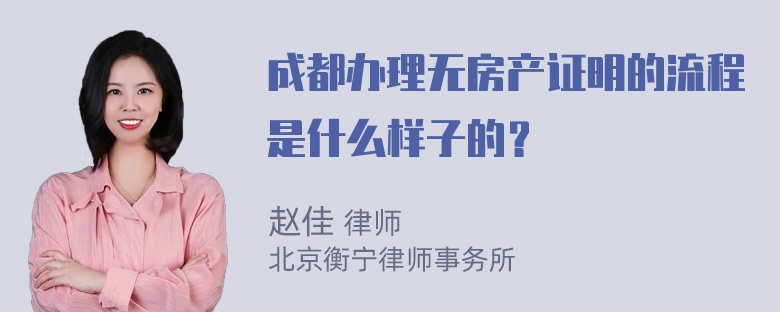 成都办理无房产证明的流程是什么样子的？