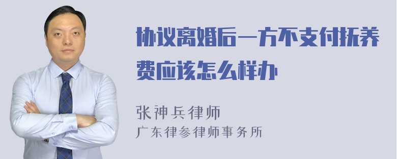 协议离婚后一方不支付抚养费应该怎么样办