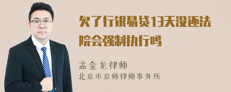 欠了行银易贷13天没还法院会强制执行吗