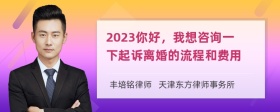 2023你好，我想咨询一下起诉离婚的流程和费用