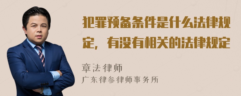 犯罪预备条件是什么法律规定，有没有相关的法律规定