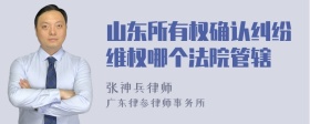 山东所有权确认纠纷维权哪个法院管辖