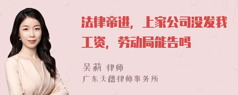 法律帝进，上家公司没发我工资，劳动局能告吗