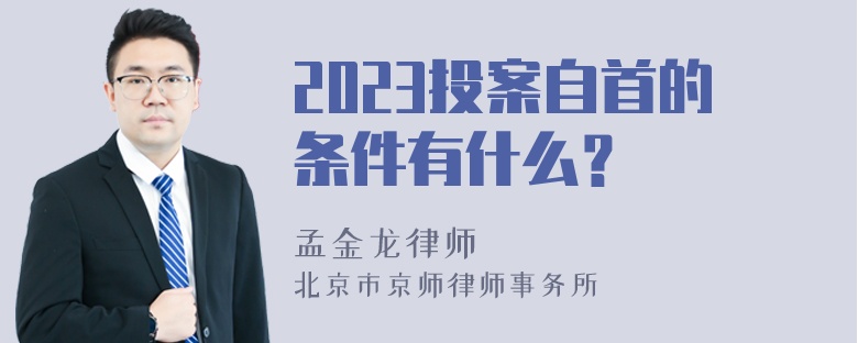 2023投案自首的条件有什么？