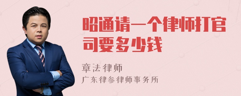 昭通请一个律师打官司要多少钱