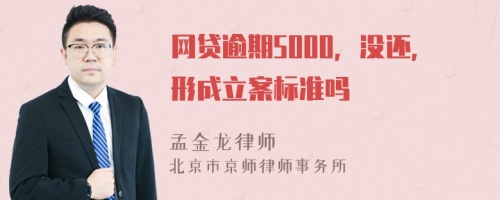 网贷逾期5000，没还，形成立案标准吗