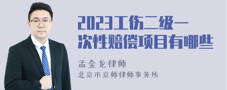 2023工伤二级一次性赔偿项目有哪些