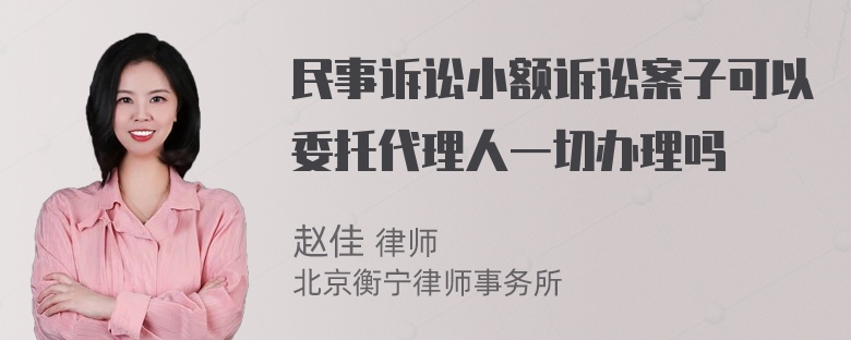 民事诉讼小额诉讼案子可以委托代理人一切办理吗