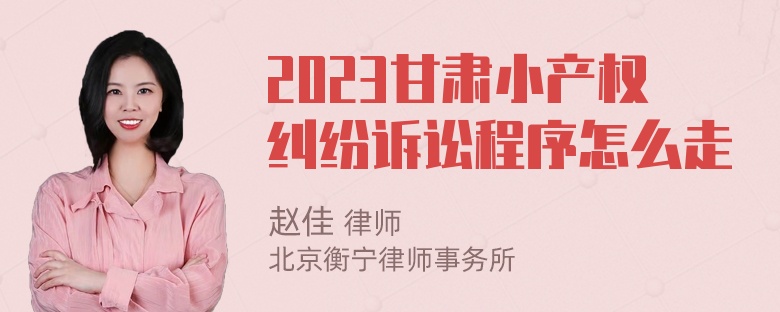 2023甘肃小产权纠纷诉讼程序怎么走