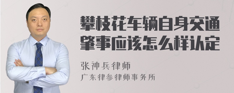 攀枝花车辆自身交通肇事应该怎么样认定