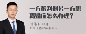 一方被判刑另一方想离婚应怎么办理？