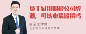 员工试用期被公司辞退，可以申请赔偿吗