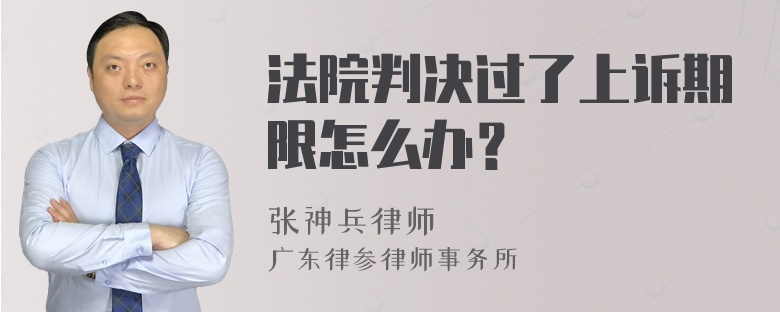 法院判决过了上诉期限怎么办？