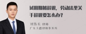 试用期被辞退，劳动法里关于辞退要怎么办？
