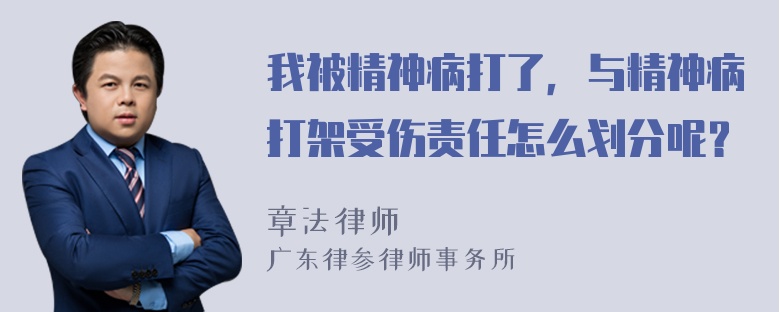 我被精神病打了，与精神病打架受伤责任怎么划分呢？