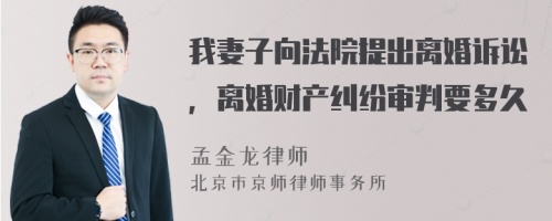 我妻子向法院提出离婚诉讼，离婚财产纠纷审判要多久