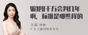 骗犯8千万会判几年啊，标准是哪些样的