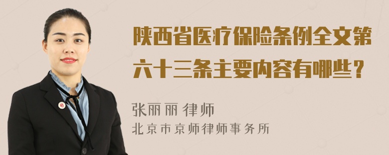 陕西省医疗保险条例全文第六十三条主要内容有哪些？