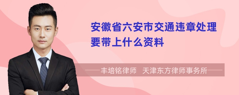 安徽省六安市交通违章处理要带上什么资料