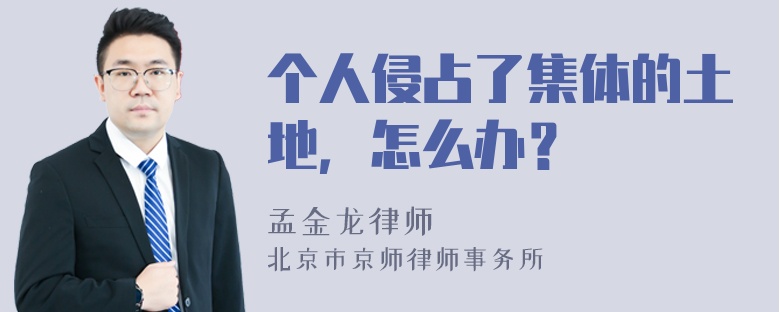 个人侵占了集体的土地，怎么办？