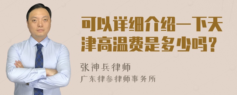 可以详细介绍一下天津高温费是多少吗？