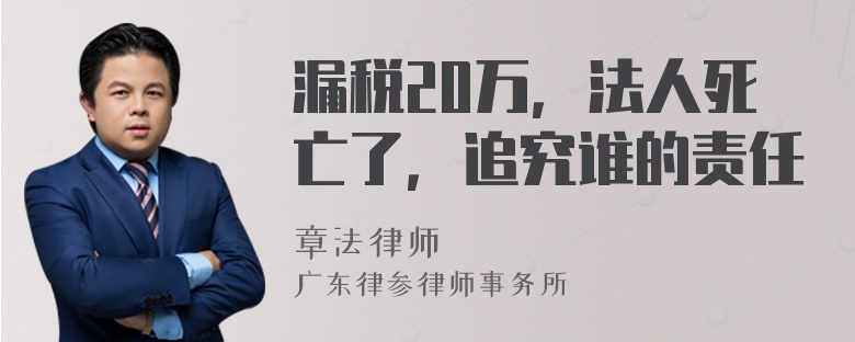 漏税20万，法人死亡了，追究谁的责任