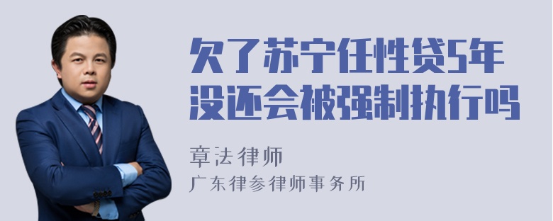 欠了苏宁任性贷5年没还会被强制执行吗