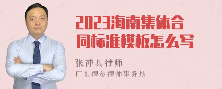 2023海南集体合同标准模板怎么写